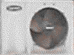 whirlpool's picture