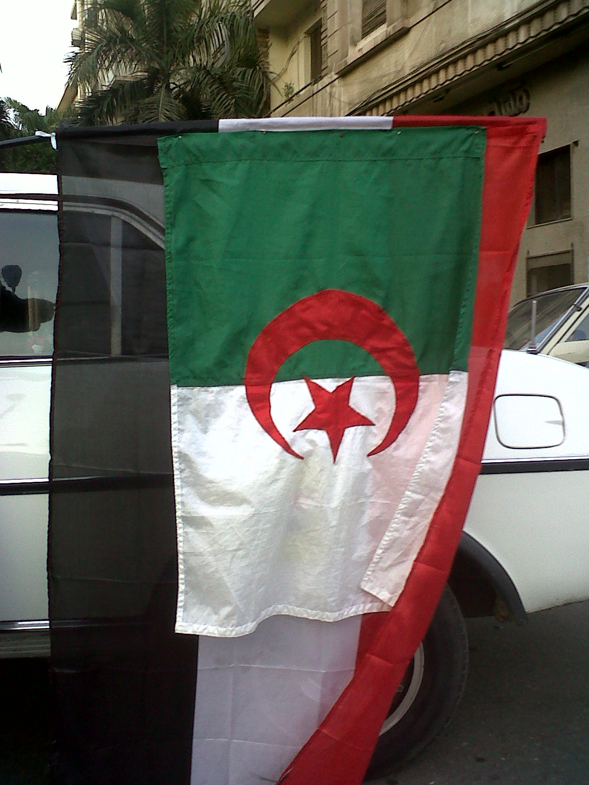 Egypt & Algeria flags