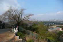 من ضواحي جوهانسبرج