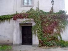 Outside the palatine museum