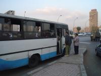 أوتوبيس نقل عام يحشد ناخبي أبو العنين