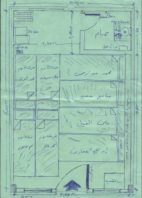 A drawing of Alaa's cell
