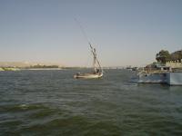 The Nile in Menia
